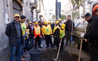 Il crowfunding colora di verde le strade di Catania
