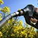 Biocarburanti per la transizione