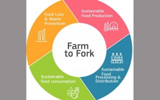 Farm to fork e biodiversità, lo studio per un sistema agroalimentare sostenibile 