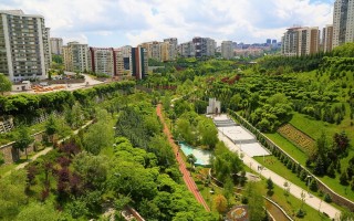 “Città Verdi”, al via il piano FAO per migliorare la sostenibilità urbana
