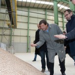 Pellet, le problematiche della qualità