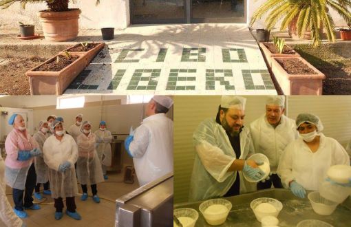 cibo libero agricolo proloco dol mancino