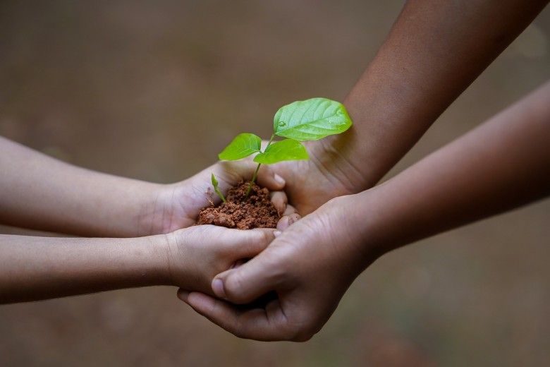 Ambiente, italiani altruisti e interessati all’ambiente