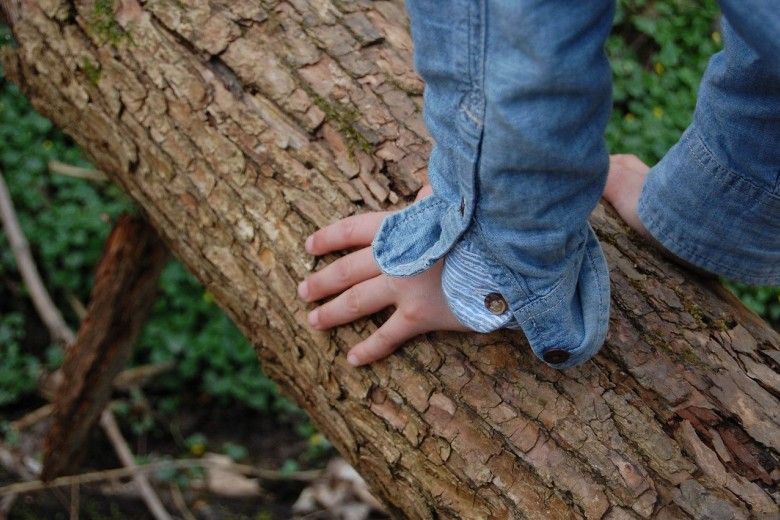 Giornata nazionale dell'albero, i bambini imparano ad averne cura  