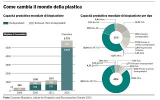 1014-grafico