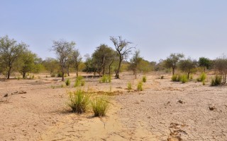 La desertificazione preoccupa l'Italia