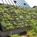 Infrastrutture verdi: integrare l’ecologia in ambiente urbano 