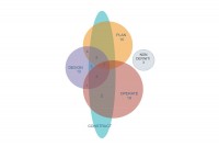 BIM e Digital Twin a supporto dell’asset management  di infrastrutture idriche: stato dell’arte e applicazioni
