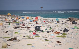 La lotta al marine litter diventa legge