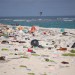 La lotta al marine litter diventa legge