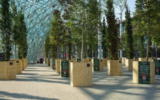Salone del mobile contro l'inquinamento, 200 alberi protagonisti 