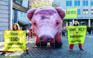 Stop agli allevamenti intensivi, il blitz di protesta davanti al Parlamento europeo
