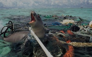 Pulire gli oceani sfruttando le correnti marine, ora si può