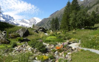 La biodiversità non interessa