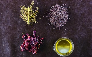  Vegea tra le 50 startup più innovative del nuovo millennio