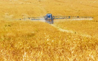 Ispra: 259 tipi di pesticidi nelle acqua italiane