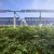 È il momento dell'agrivoltaico