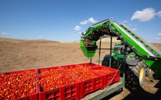 Agroalimentare e intelligenza artificiale: la nuova frontiera nelle certificazioni e nella lotta alle frodi alimentari