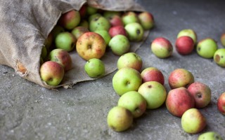 Il 14% del cibo viene sprecato in fase di raccolta