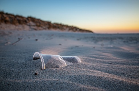 Spiagge, indecorosa pattumiera delle attività umane. Crescono i rifiuti abbandonati
