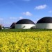 Biogas ai nastri di partenza