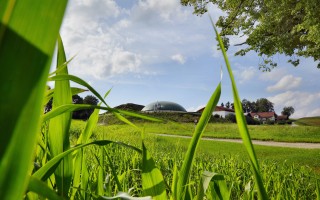 L'ora del biogas