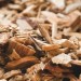 Biomasse e ambiente: un tema di grande attualità