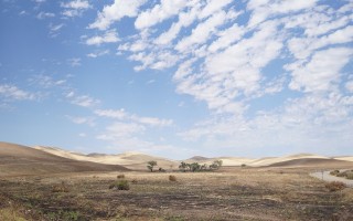 Ondate di calore: a rischio il 74% della popolazione mondiale