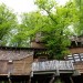 Le case in legno piacciono, anche sugli alberi