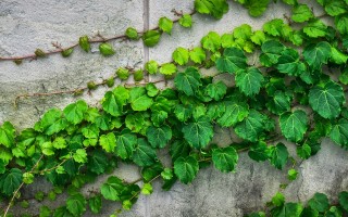 Il cemento vira al “verde” e all’economia circolare