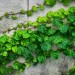 Il cemento vira al “verde” e all’economia circolare