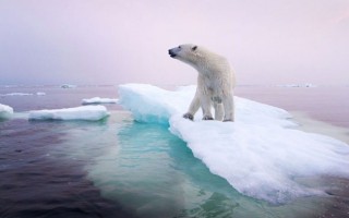 Appello per il clima: investimenti europei più adeguati