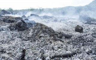 Italia: 19,3 miliardi di euro in sussidi dannosi all’ambiente