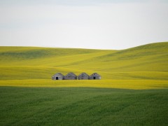 Agricoltura e agrotessili, scenari futuri per soddisfare il fabbisogno di cibo  