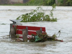Alluvione Emilia Romagna, eventi estremi che rischiano di diventare normalità