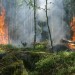 L’Australia brucia: cause, danni e cambiamento climatico