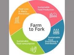 Farm to fork e biodiversità, lo studio per un sistema agroalimentare sostenibile 