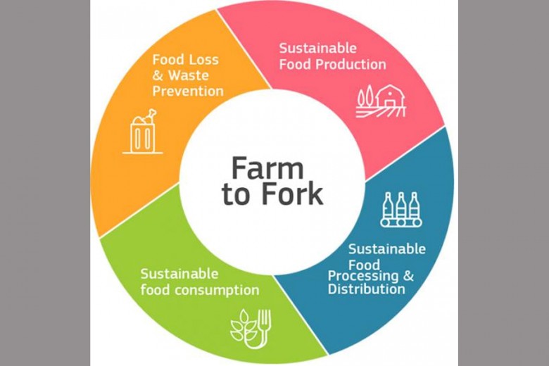 Farm to fork e biodiversità, lo studio per un sistema agroalimentare sostenibile 