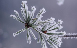 Gelo siberiano in arrivo, come proteggere i contatori