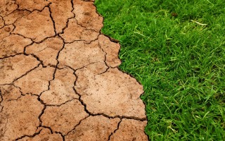 L’Europa brucia ma gli Stati se ne fregano del clima