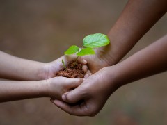 Ambiente, italiani altruisti e interessati all’ambiente