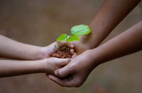 Ambiente, italiani altruisti e interessati all’ambiente