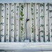 Vertical Farm: il futuro dell'agricoltura