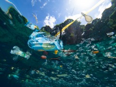 Impianti di riciclo della plastica, dal MASE ok a 75 progetti