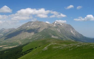 Dal sottobosco del monte Cervati in Cilento arriva la biomattonella della start up Service Biontech