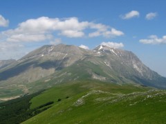 Dal sottobosco del monte Cervati in Cilento arriva la biomattonella della start up Service Biontech