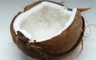 Calcestruzzo con fibre di noce di cocco: studiate le proprietà