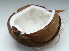 Calcestruzzo con fibre di noce di cocco: studiate le proprietà