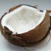 Calcestruzzo con fibre di noce di cocco: studiate le proprietà