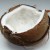 Calcestruzzo con fibre di noce di cocco: studiate le proprietà